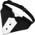 Dog Tuxedo Wedding Outfit