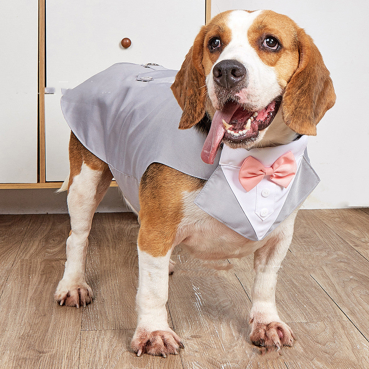 Pet Wedding Tuxedo Jacket - view 1